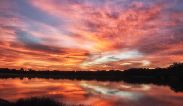 Nature/Wildlife Photos from Lens on Lakewood Ranch Photo Contest