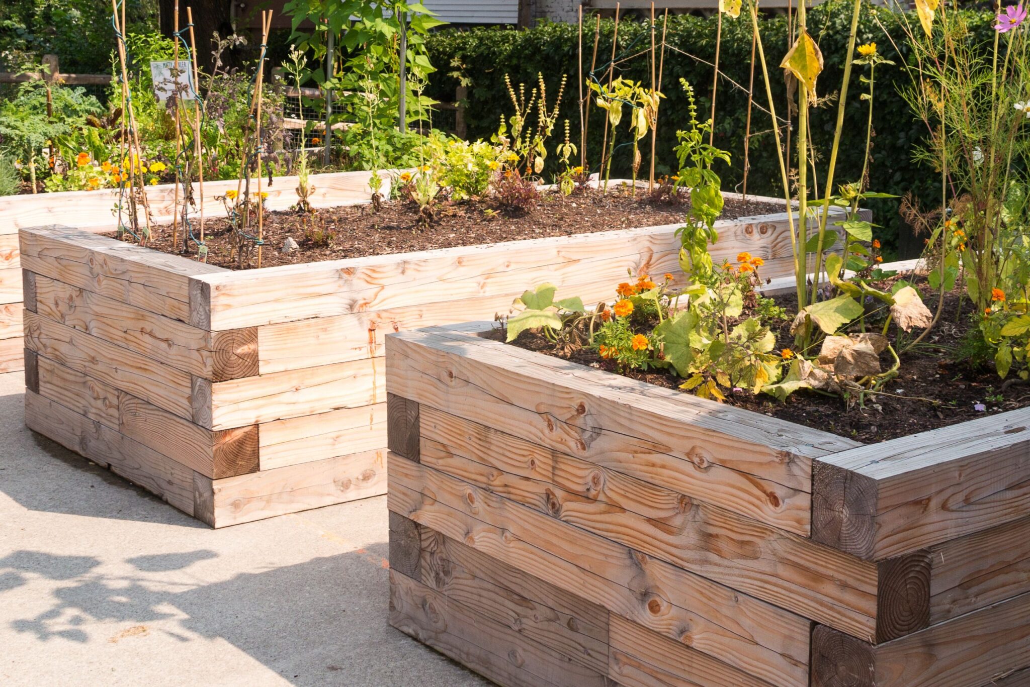 Low-Maintenance Landscaping Ideas for Seniors